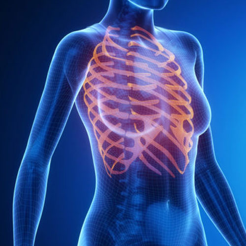 peri posmenopausia y metabolismo oseo